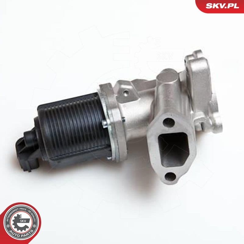 Supapa EGR ESEN SKV 14SKV040