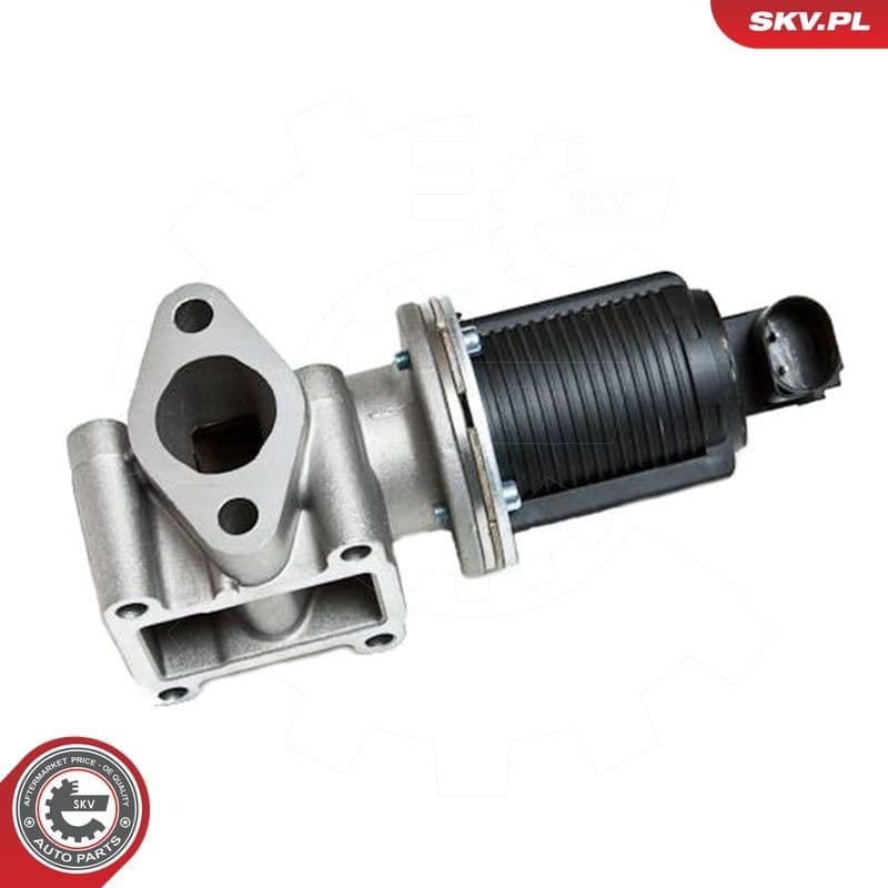 Supapa EGR ESEN SKV 14SKV012