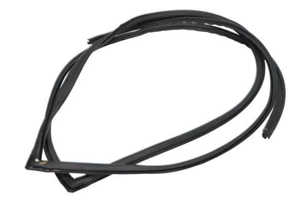 Garnitura, parbriz BLIC 5703-04-6037484Q
