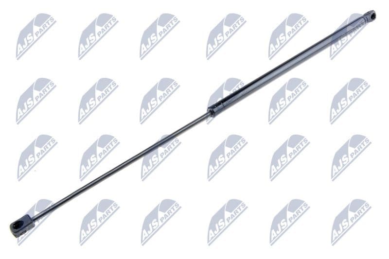 Amortizor portbagaj NTY AE-FR-038