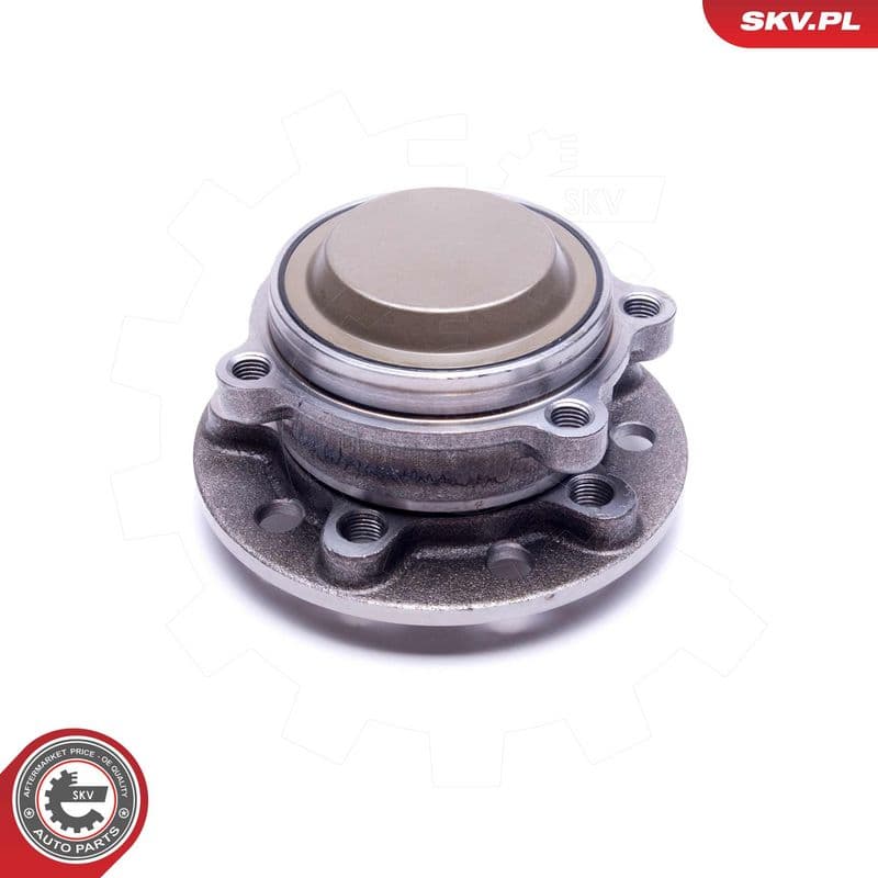 Set rulment roata ESEN SKV 29SKV506