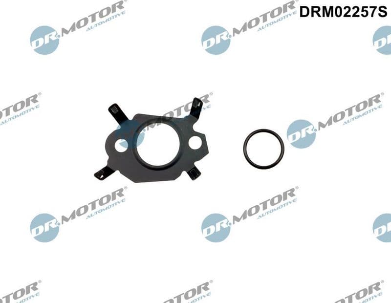 Set garnitura sistem EGR Dr.Motor Automotive DRM02257S