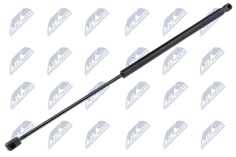 Amortizor capota NTY AE-CT-003