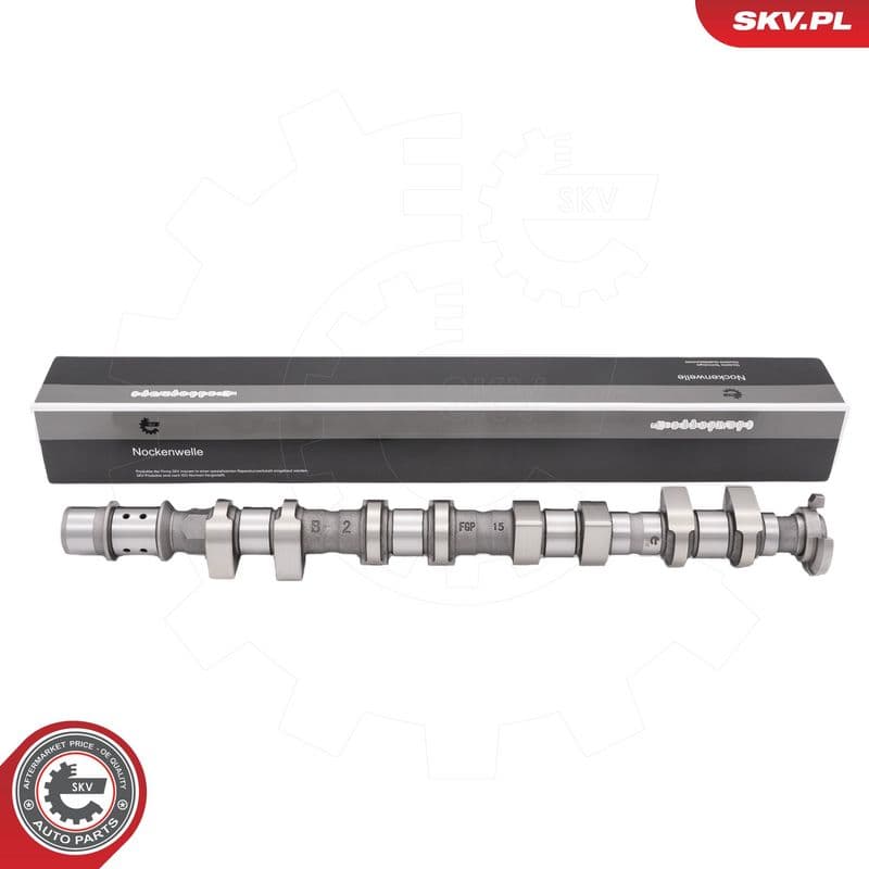 Ax cu came ESEN SKV 80SKV049