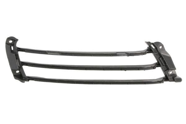 Suport, grila readiator BLIC 6502-07-5725921P