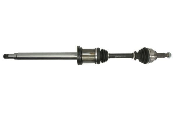 Planetara PASCAL G2J001PC
