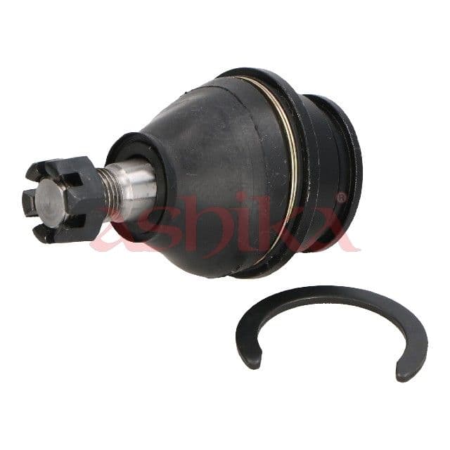 Pivot ASHIKA 73-02-247