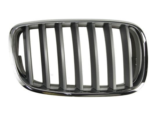 Grila radiator BLIC 6502-07-0096992PP