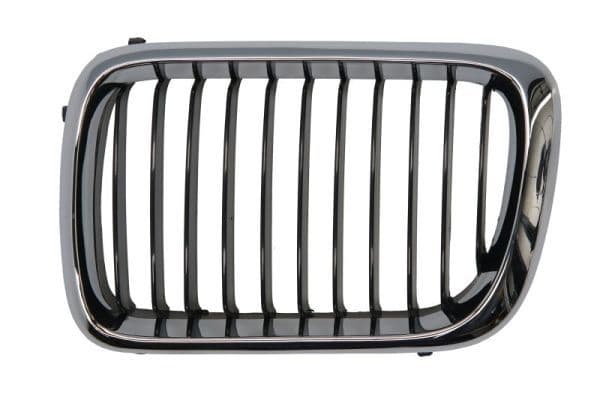 Grila radiator BLIC 6502-07-0060997P