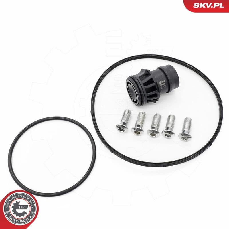 Set reparatie, pompa vacuum (Siste frana) ESEN SKV 18SKV810