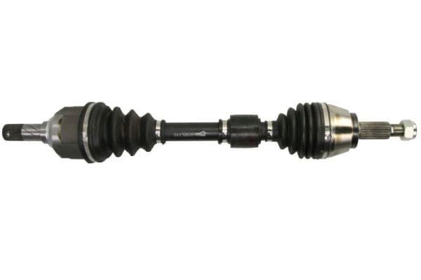 Planetara PASCAL G2R166PC
