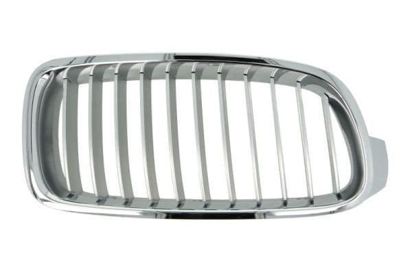 Grila radiator BLIC 6502-07-0063994P