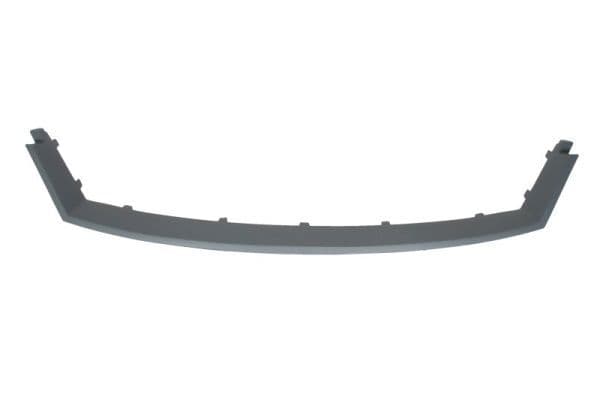 Banda de protectie, grila radiator BLIC 6502-07-2555991P