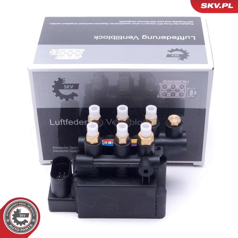 supapa,sistem supraalimentare ESEN SKV 93SKV811