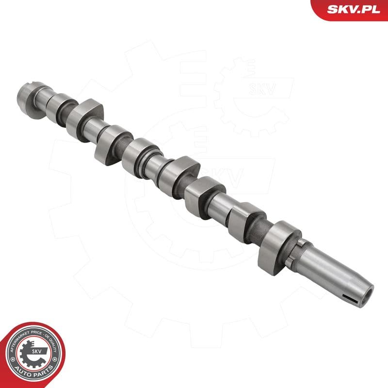 Ax cu came ESEN SKV 80SKV059