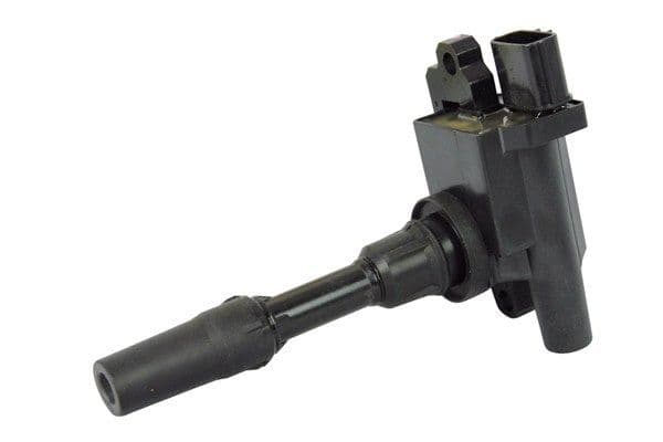 bobina de inductie MAGNETI MARELLI 060717093012