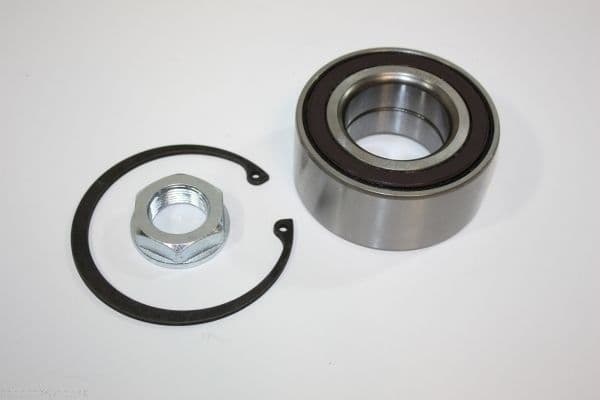 Set rulment roata AUTOMEGA 110124510