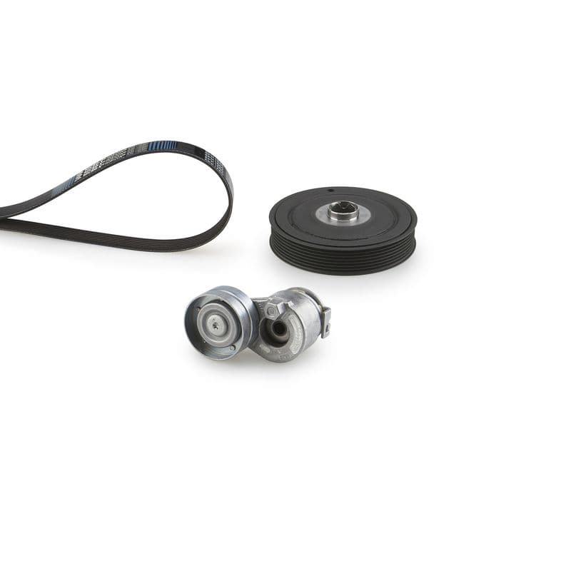 Set curea transmisie cu caneluri GATES Micro-V® K027PK1125