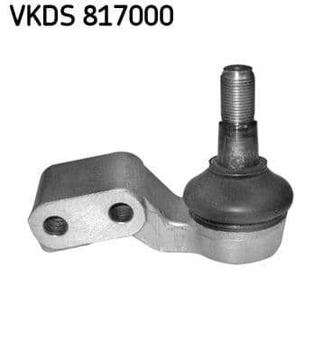 Pivot SKF VKDS 817000