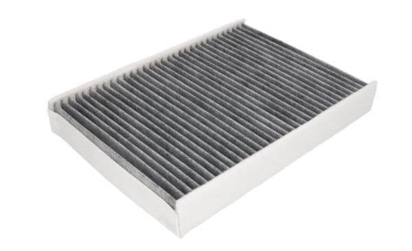 Filtru, aer habitaclu MTR 12902995