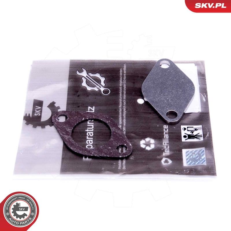 Set de reparație, supapă AGR ESEN SKV 14SKV542