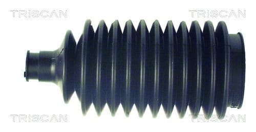 Ansamblu burduf, directie TRISCAN 8500 2785