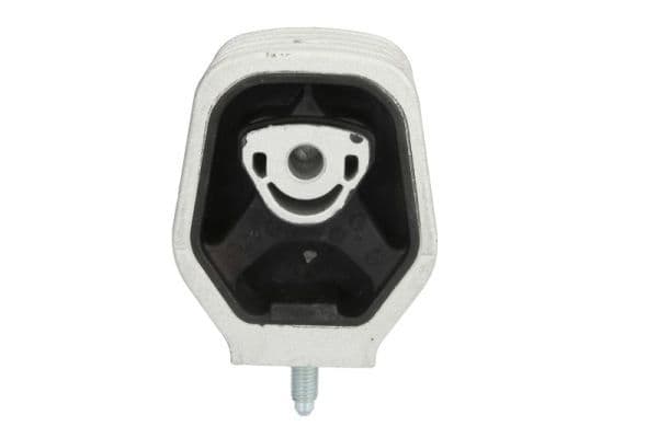 Suport motor REINHOCH RH11-3016