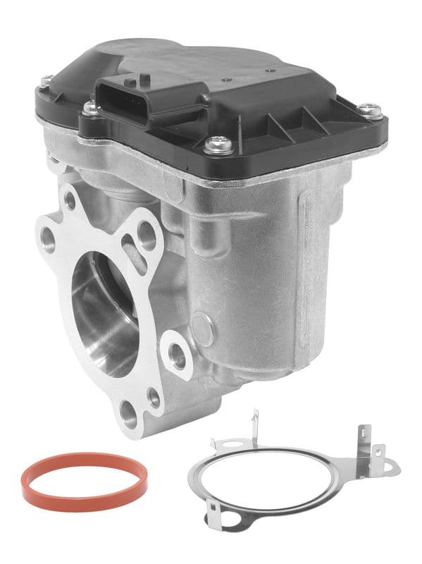 Supapa EGR BorgWarner 729001D