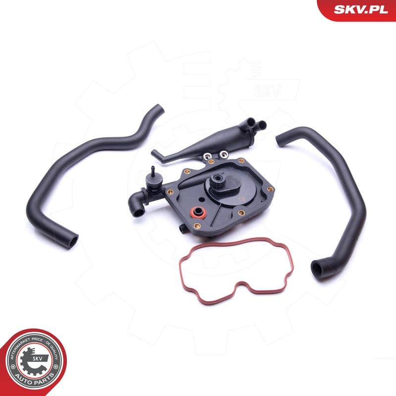 Set reparatie, aerisire baie ulei ESEN SKV 31SKV100