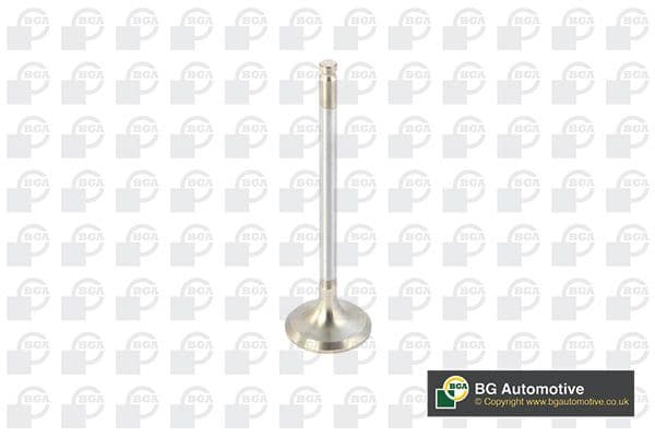 Supapa evacuare BGA V820011