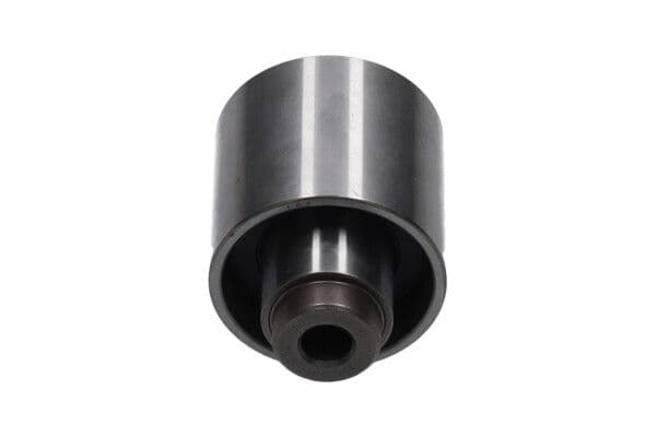 Rola ghidare/conducere, curea distributie KAVO PARTS DID-5511