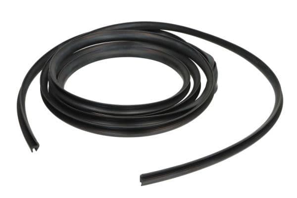 Garnitura, parbriz BLIC 5703-04-6038058Q