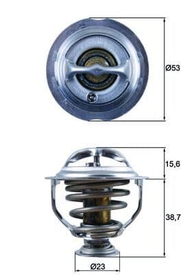 termostat,lichid racire MAHLE BEHR TX 123 95D