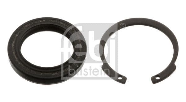 Set garnituri, caracsa directie FEBI BILSTEIN 44527