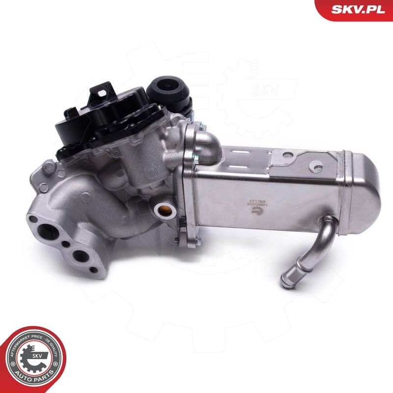 Supapa EGR ESEN SKV 14SKV238