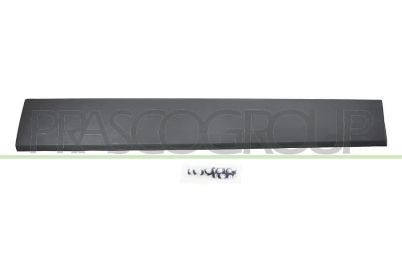Elemente decorative/protectie, portiera PRASCO FT9001454