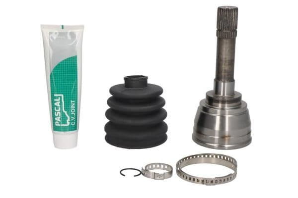 Set articulatie, planetara PASCAL G18017PC