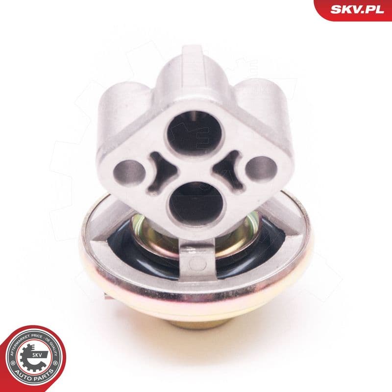 Supapa EGR ESEN SKV 14SKV130