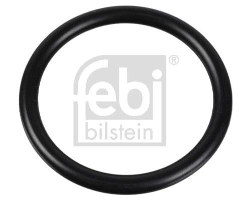 Garnitura termostat FEBI BILSTEIN 174322