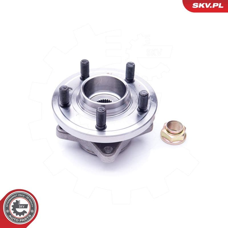 Set rulment roata ESEN SKV 29SKV182