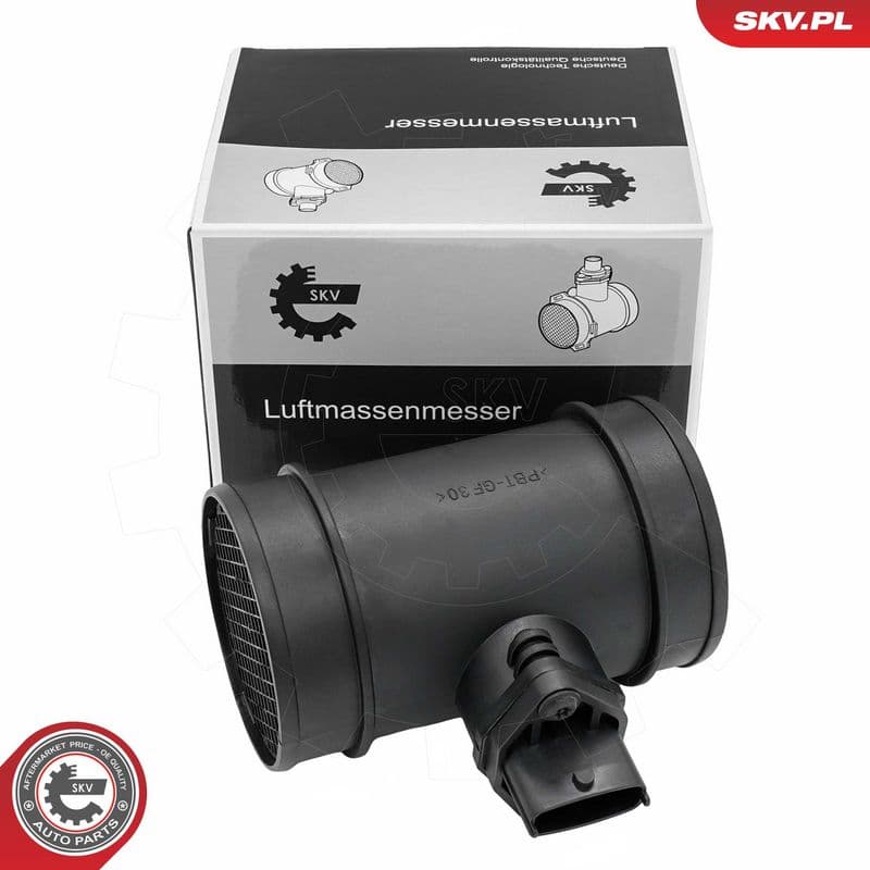 senzor debit aer ESEN SKV 07SKV317