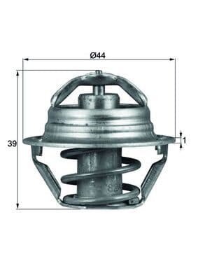 termostat,lichid racire MAHLE BEHR TX 90 87D