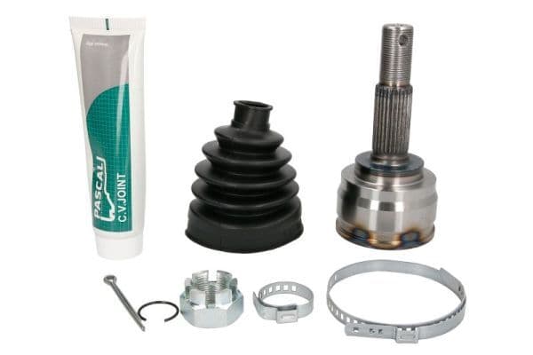 Set articulatie, planetara PASCAL G11100PC