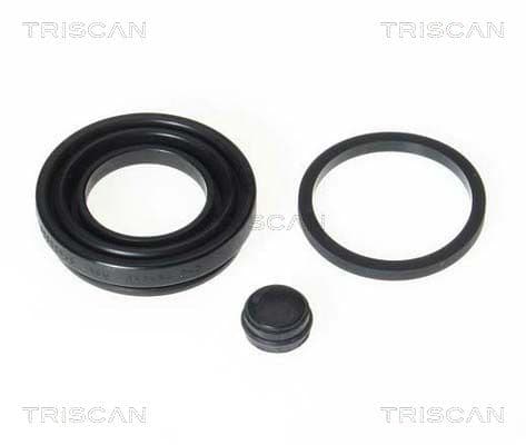 garnitura,piston etrier TRISCAN 8170 189905