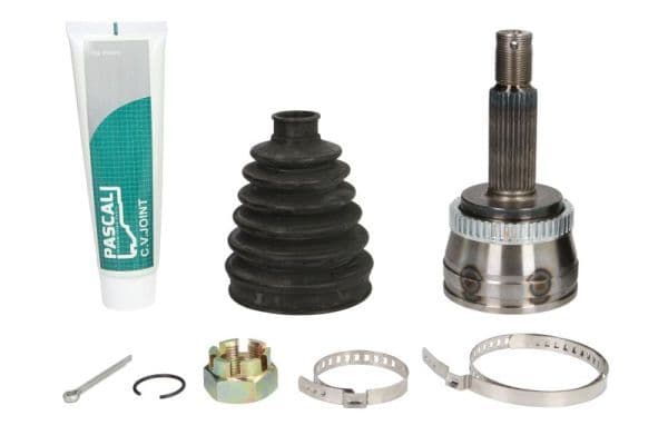Set articulatie, planetara PASCAL G10362PC