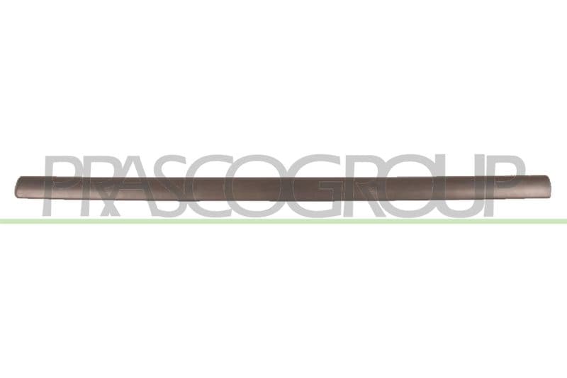 Elemente decorative/protectie, portiera PRASCO OP0171404