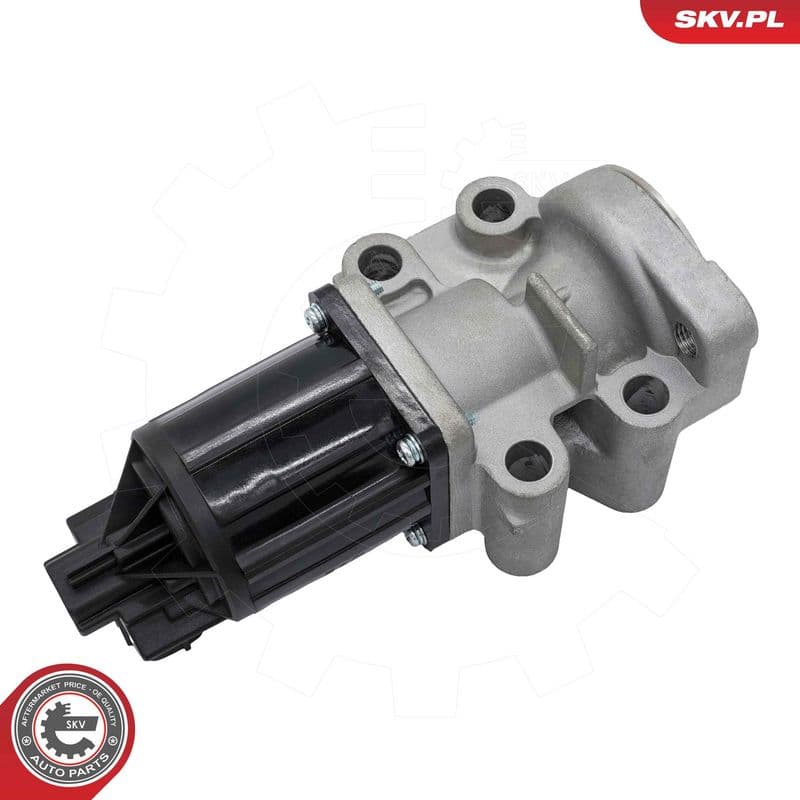 Supapa EGR ESEN SKV 14SKV300