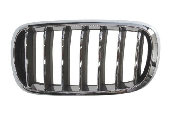 Grila radiator BLIC 6502-07-00969933P