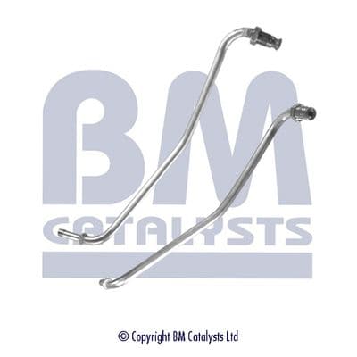 Conducta de presiune, senzor de presiune (filtru particule) BM CATALYSTS PP11321A