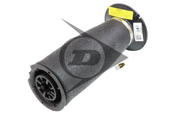 Air Spring, suspension